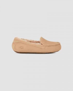 Kapcie UGG Ansley Damskie Brązowe | PLW8631N