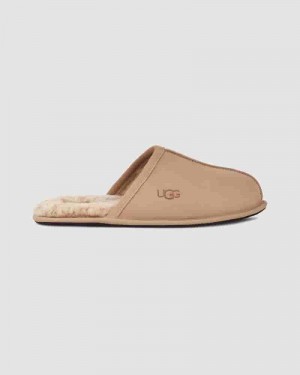 Kapcie UGG Scuff Męskie Brązowe | PLW8582N