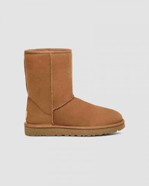 Kozaki UGG Classic Short II Damskie Kawa | PLN8709W