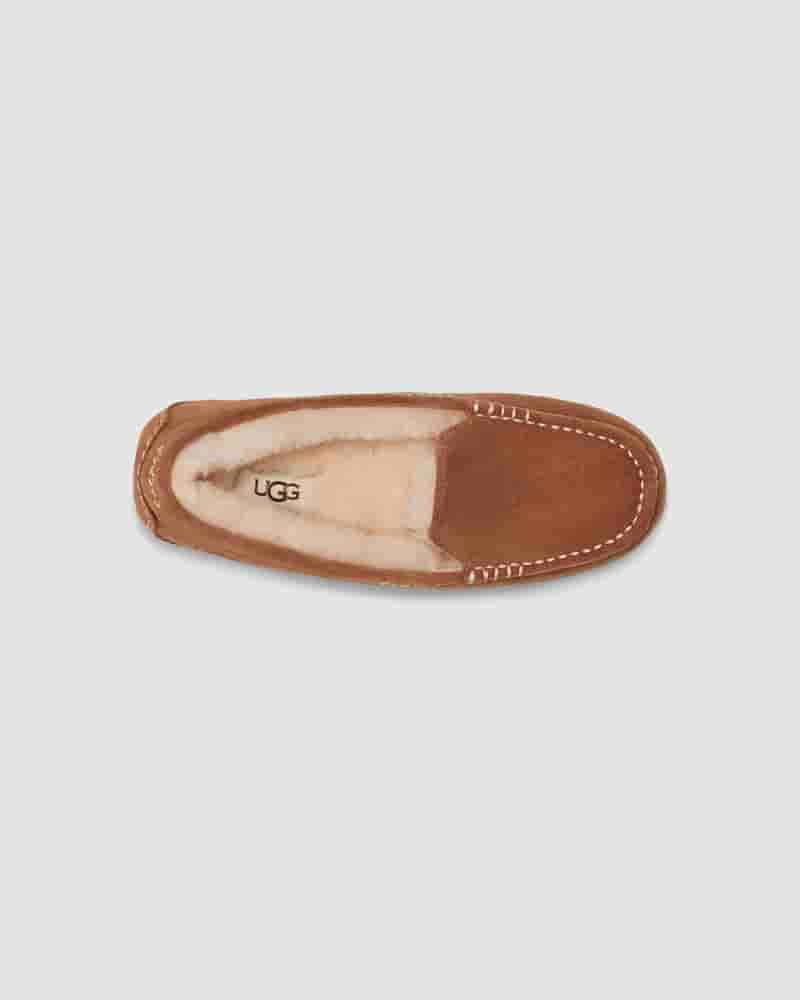 Kapcie UGG Ansley Damskie Kawa | PLW8634N