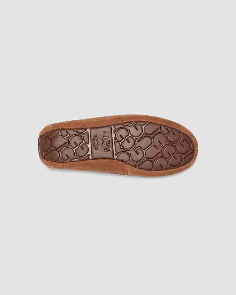 Kapcie UGG Ansley Damskie Kawa | PLW8634N