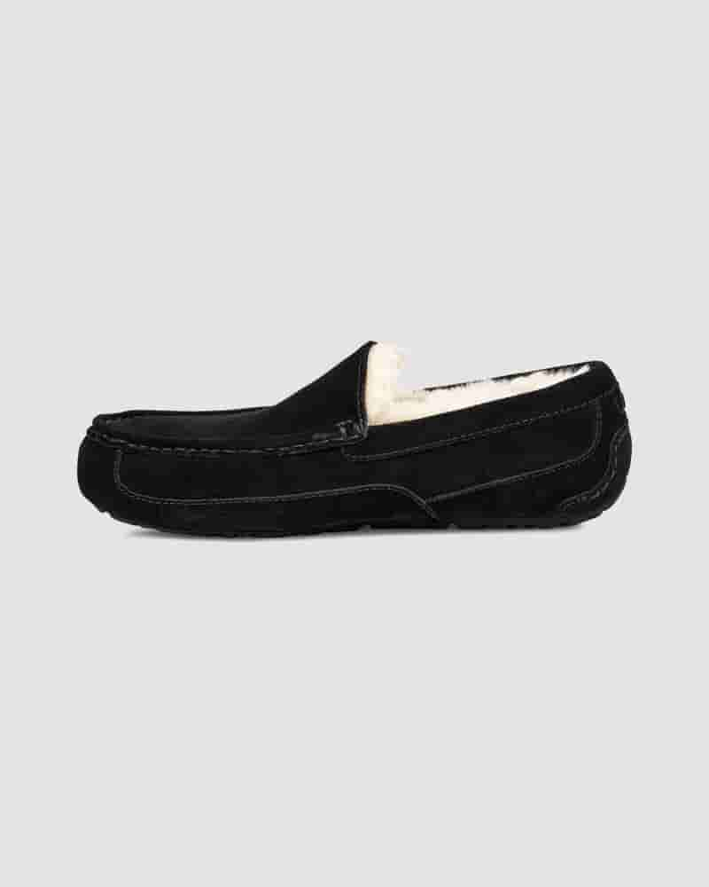 Kapcie UGG Ascot Męskie Czarne | PLU8587Z