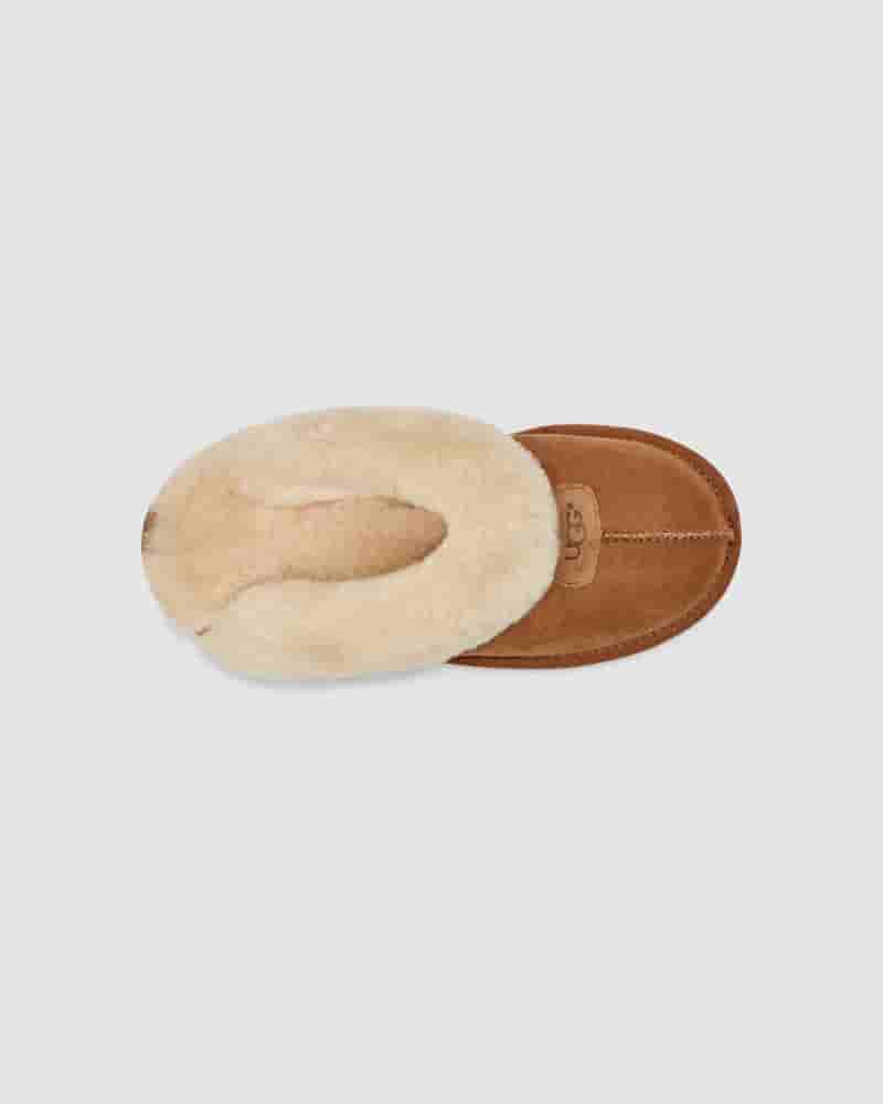 Kapcie UGG Coquette Slipper Damskie Brązowe | PLU8639Z