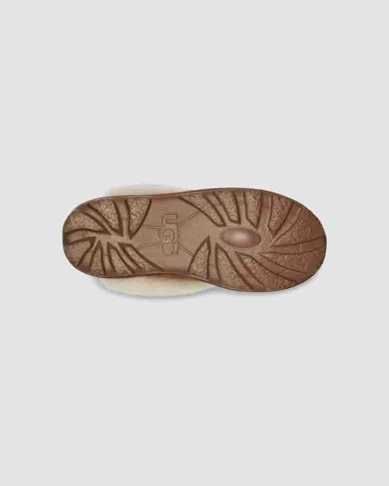 Kapcie UGG Coquette Slipper Damskie Brązowe | PLU8639Z