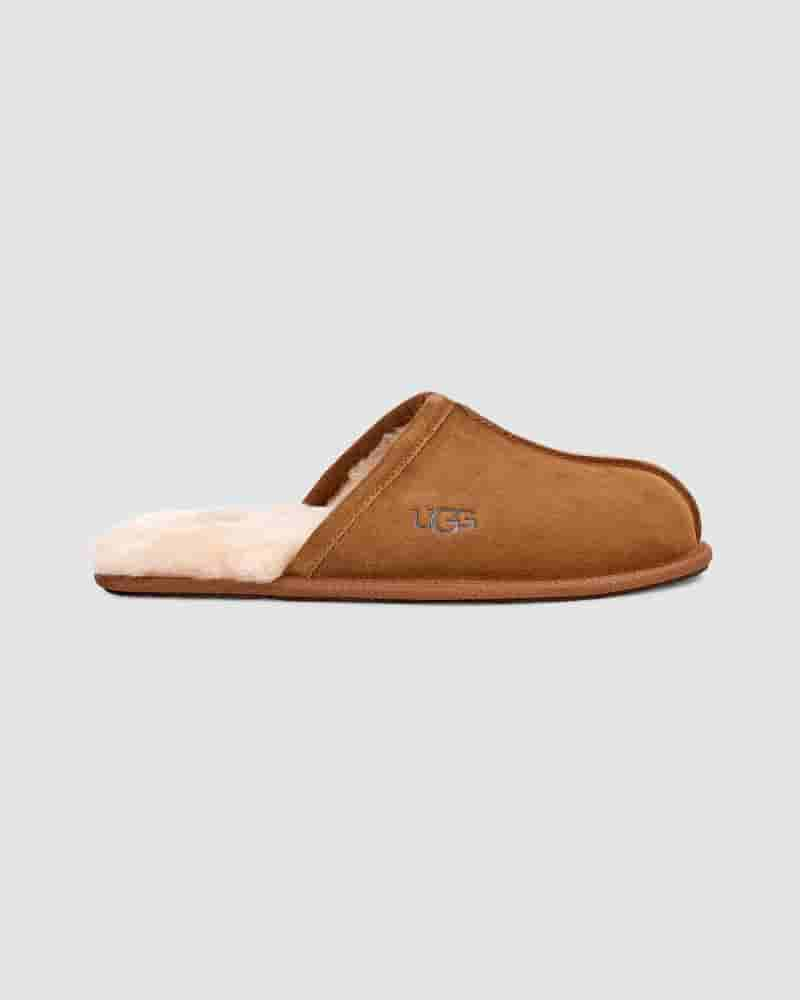 Kapcie UGG Scuff Męskie Brązowe | PLT8585C