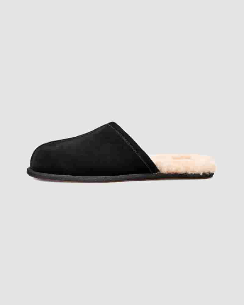 Kapcie UGG Scuff Męskie Czarne | PLR8584V