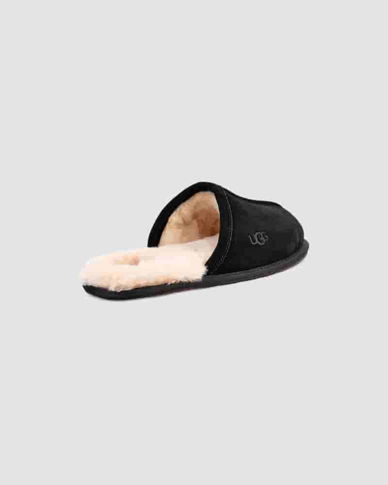 Kapcie UGG Scuff Męskie Czarne | PLR8584V