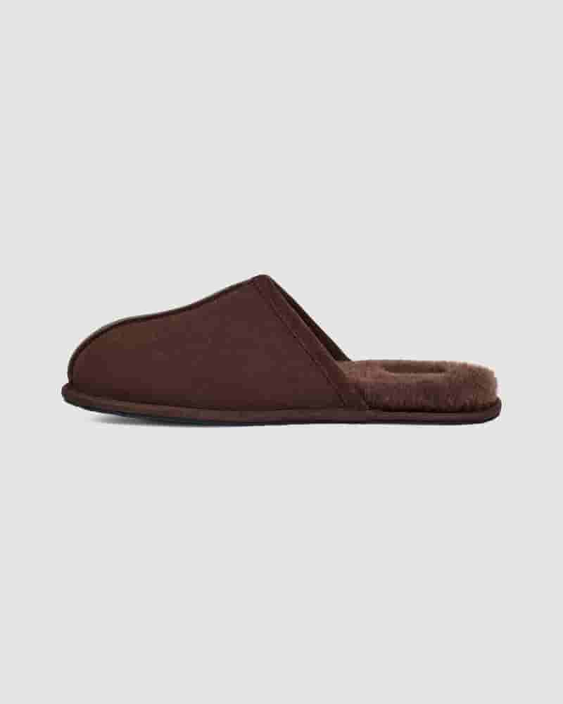 Kapcie UGG Scuff Męskie Kawa | PLE8583B