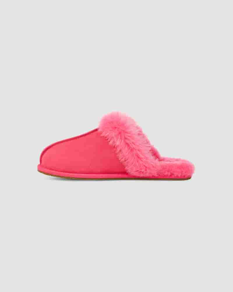 Kapcie UGG Scuffette II Damskie Różowe Czerwone | PLV8655R