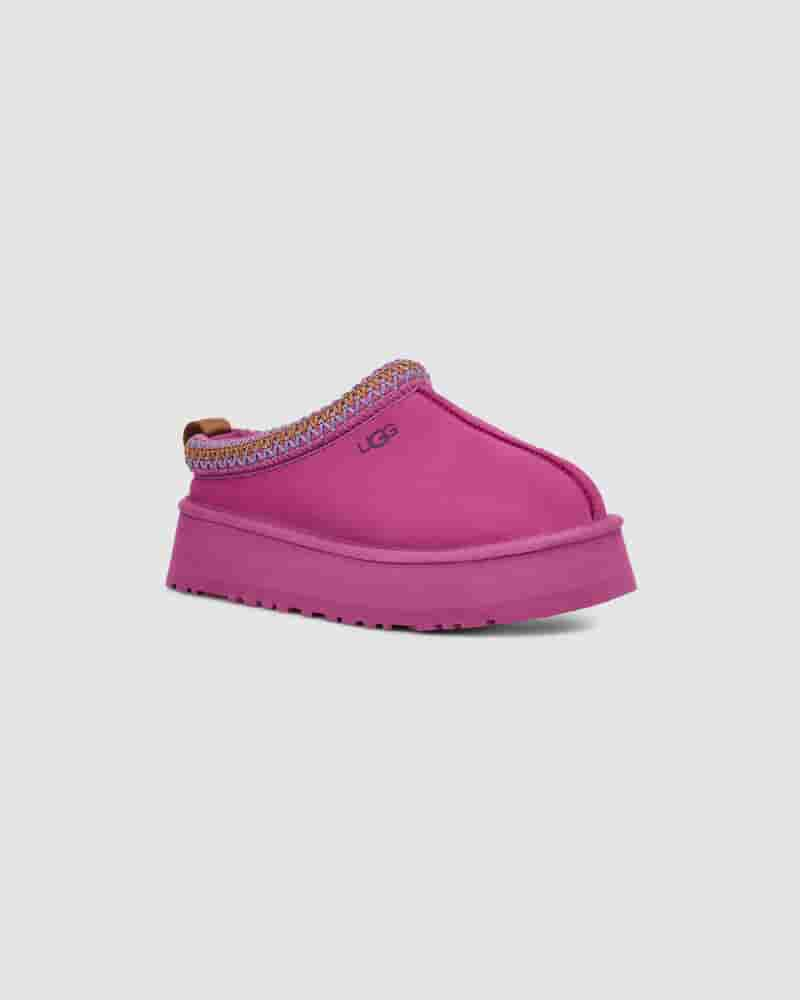 Kapcie UGG Tazz Damskie Fioletowe | PLP8675J