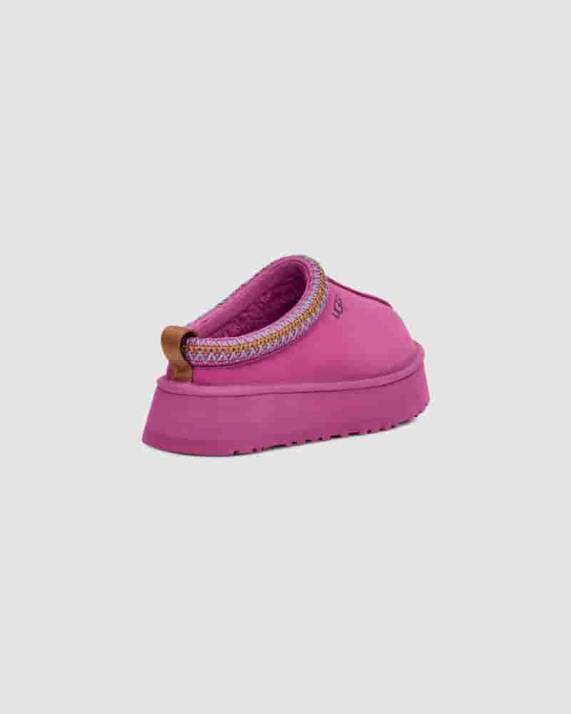 Kapcie UGG Tazz Damskie Fioletowe | PLP8675J