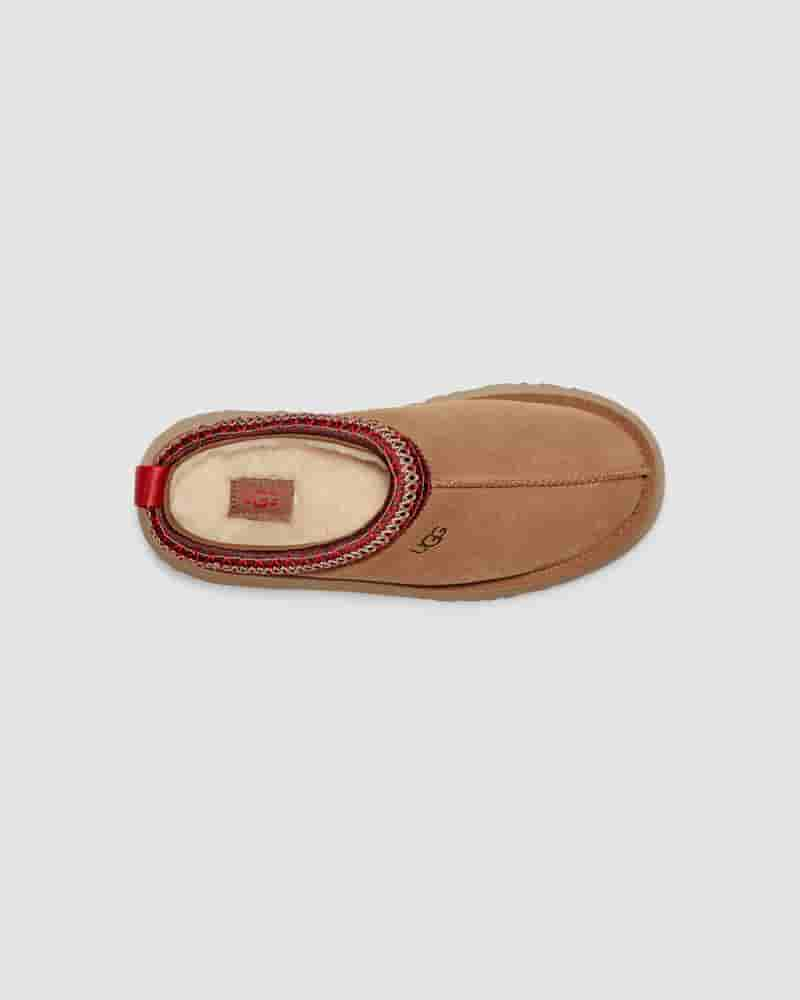 Kapcie UGG Tazz Damskie Kawa | PLA8674H