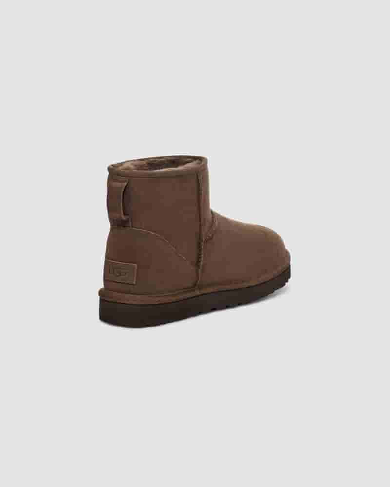 Kozaki UGG Classic Mini II Damskie Czekolada | PLL8703I