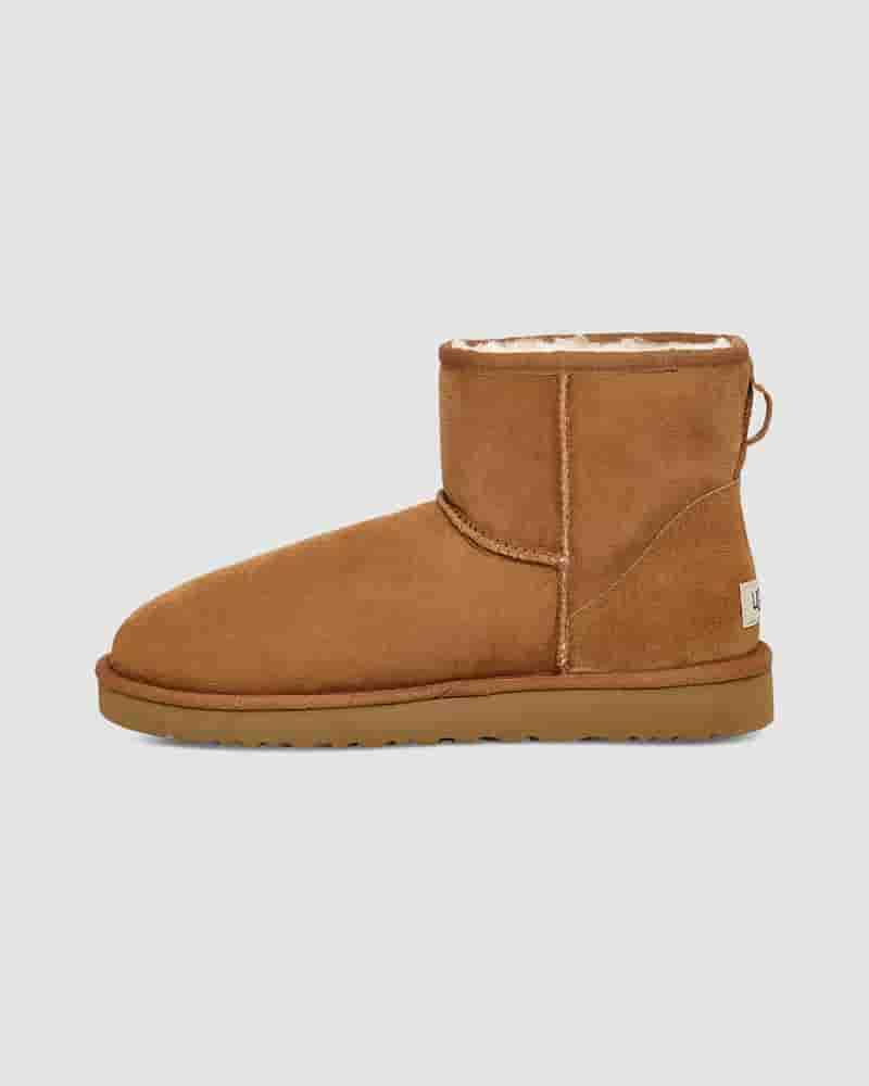 Kozaki UGG Classic Mini Męskie Brązowe | PLA8622H