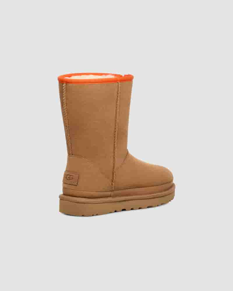 Kozaki UGG Classic Short Zipper Tape Logo Damskie Brązowe | PLV8714R