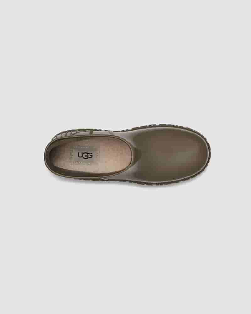 Kozaki UGG Weather Drizlita Damskie Oliwkowe | PLQ8737M