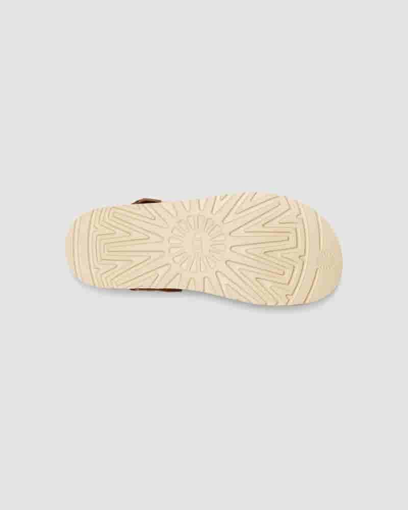 Sandały UGG Goldenstar Clog Damskie Kawa | PLQ8685M