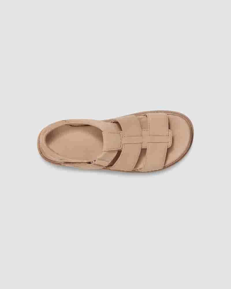 Sandały UGG Goldenstar Strap Damskie Brązowe | PLY8690X